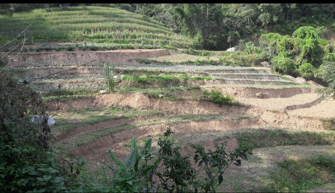 Picture of Thakre Rural Municipality, Bagmati